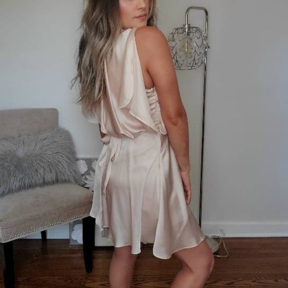 Pearl Pink Satin Dress - Picture 8 of 16